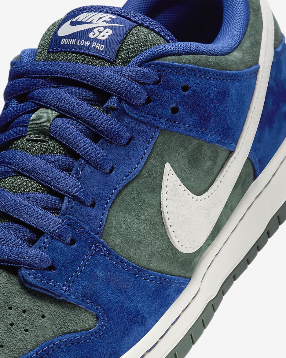 Nike SB Dunk Low Pro Skate Shoes